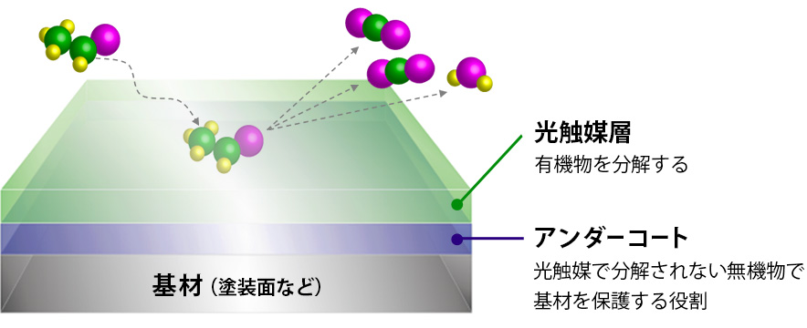 模式図