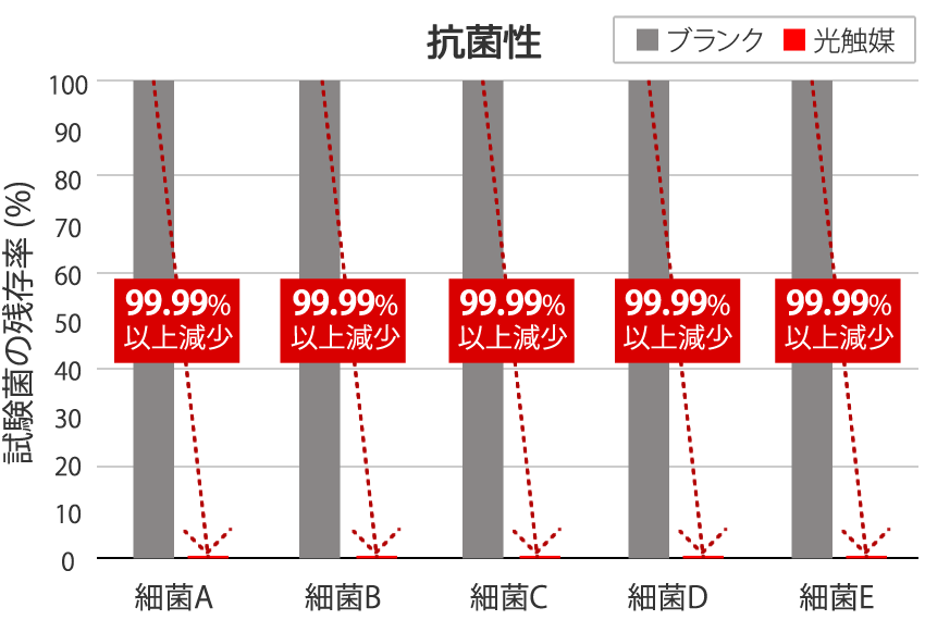 抗菌力試験結果（暗所）